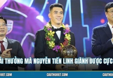 Các Giải Thưởng Mà Nguyễn Tiến Linh Giành Được Cực Khủng