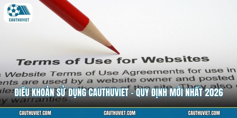 Điều Khoản Sử Dụng Cauthuviet - Quy Định Mới Nhất 2026