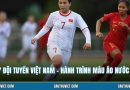 Số 7 Đội Tuyển Việt Nam - Hành Trình Màu Áo Nước Nhà
