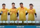 Số Áo 25 Của Đội Tuyển Việt Nam – Chủ Nhân Qua Các Thời Kỳ